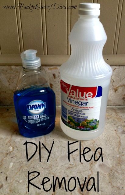 a bottle of vinegar next to a diy flea remover