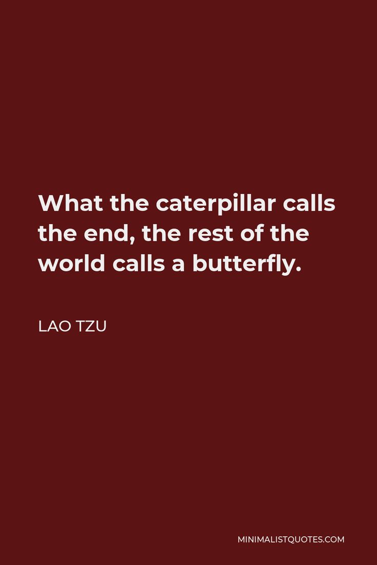 a quote from lao tzu about caterpillar calls the end, the rest of the world calls a butterfly