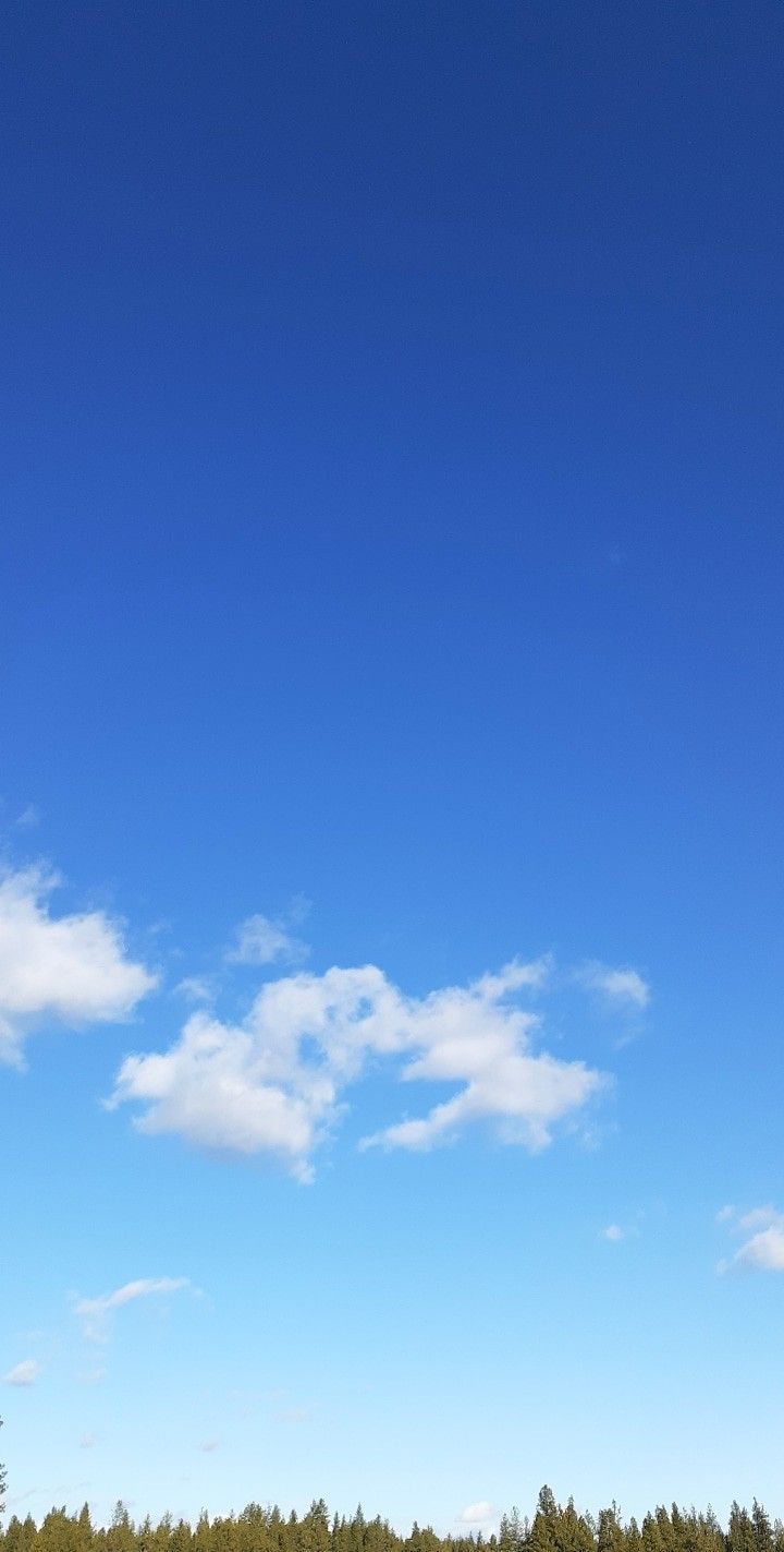 two people are flying kites on a clear day in the field with trees behind them