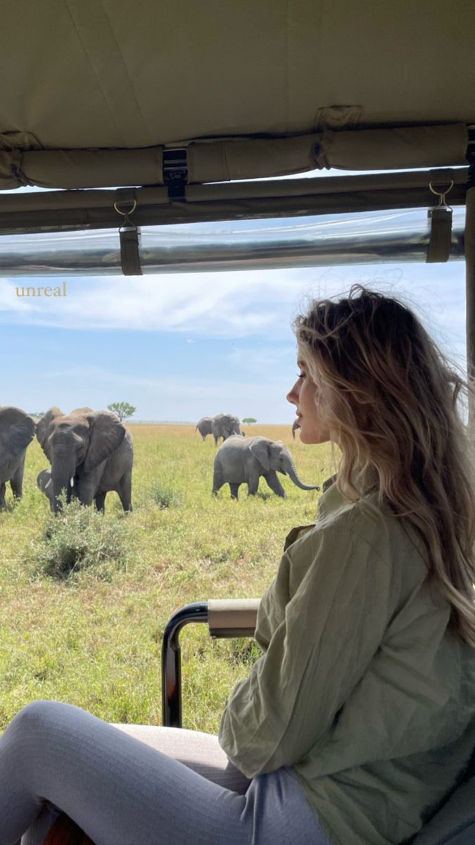 a woman sitting in a vehicle looking out at the elephants on the savannah behind her