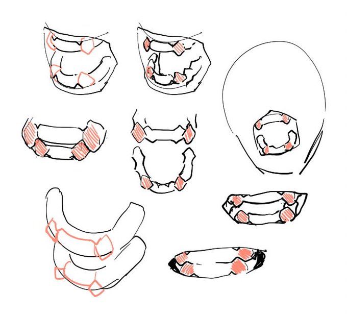 a drawing of different types of teeth and mouth shapes