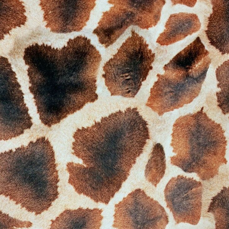 an animal print pattern that looks like it has spots on it's fur and is brown and white