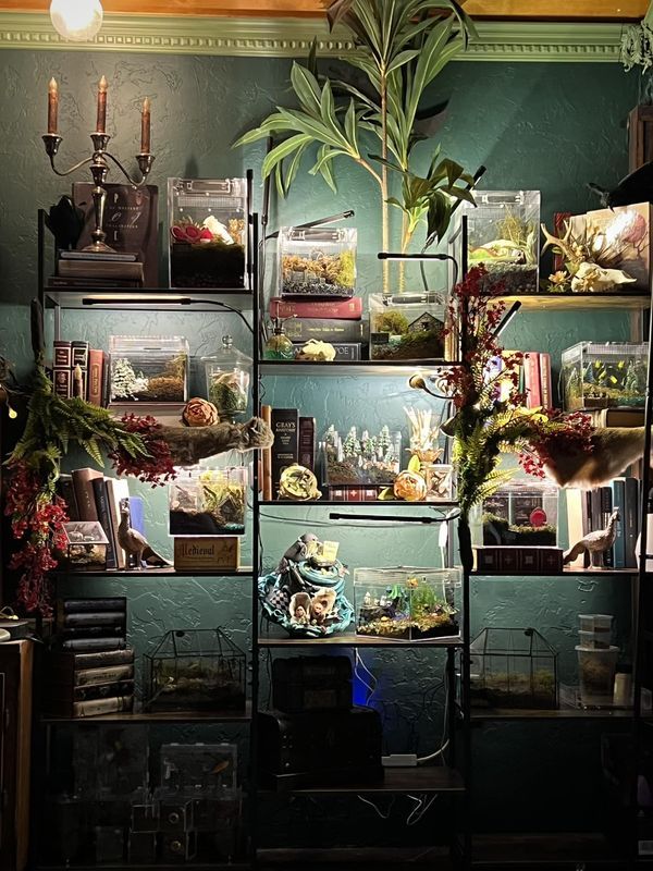 a room filled with lots of different types of plants and books on shelves next to each other