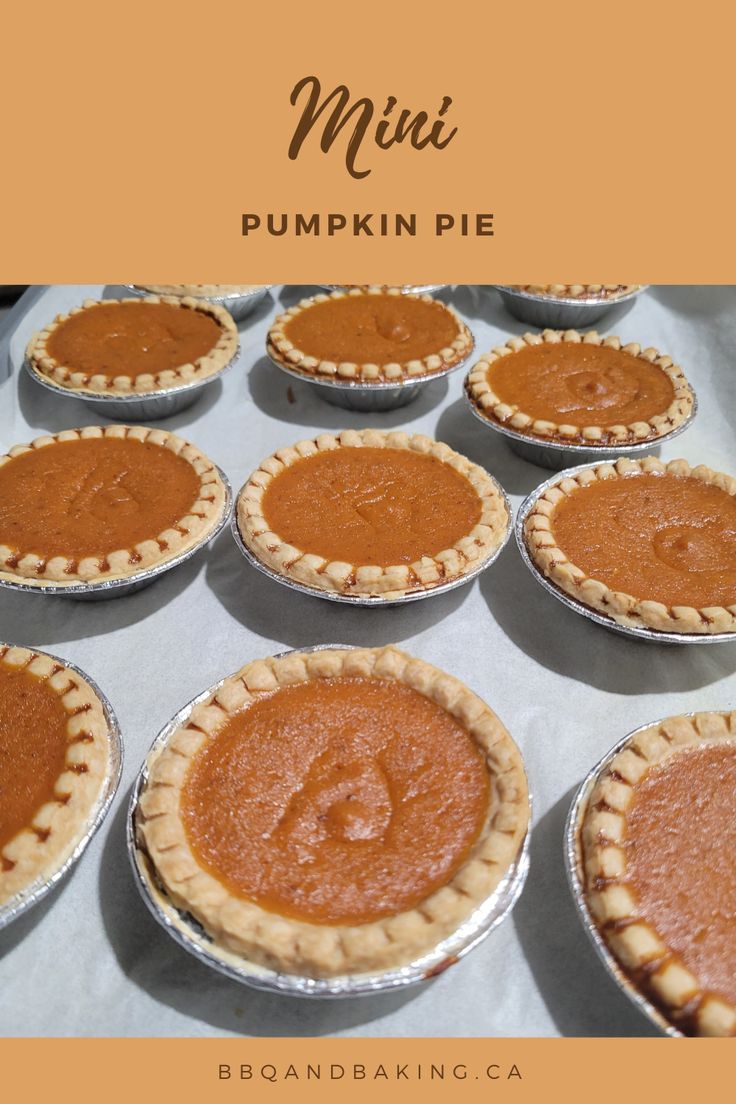 nine mini pumpkin pies Pumpkin Pie Biscuits, Hand Held Pumpkin Pies, Homemade Mini Pumpkin Pies, Pumpkin Pies Recipes Homemade, Small Pumpkin Pie Recipe, Pumpkin Pie For Two, Pumpkin Pie Mini Pies, Easy Mini Pumpkin Pies, Pumpkin Pie Tarts Mini