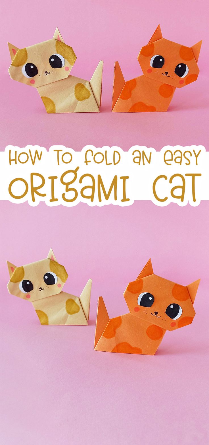 how to fold an easy origami cat