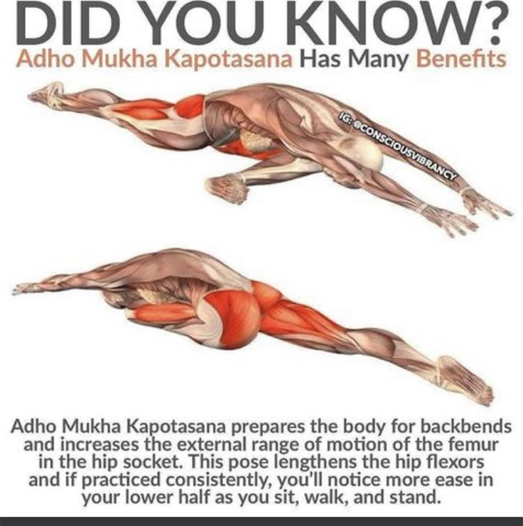 an image of a man doing push ups on his back with the caption did you know?