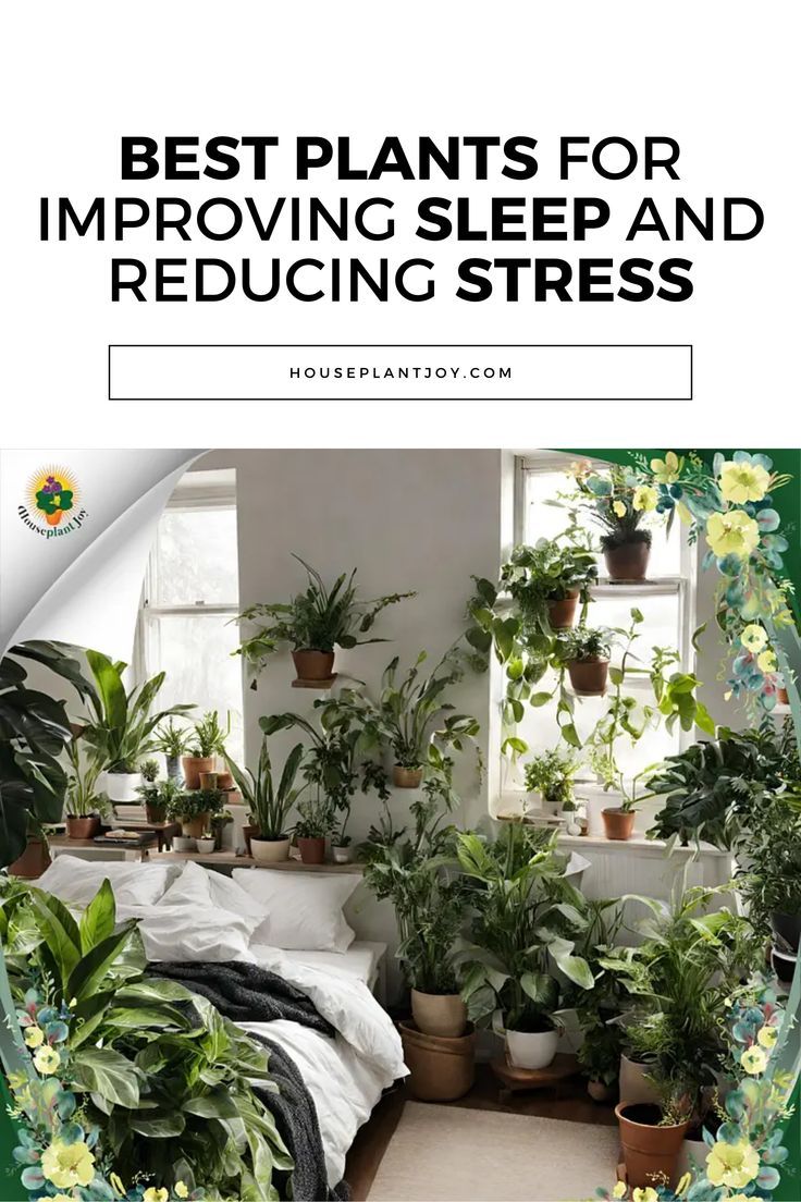 Sweet Dreams Start Here 😴🌿 Want to wake up feeling refreshed? Bring the calming power of nature indoors! Discover how plants like lavender, jasmine, and aloe vera can transform your bedroom into a sleep sanctuary. #sleepbetter #bedroomplants #planttherapy #relaxation #goodnight 🌙🌱 Sleep Sanctuary, Plant Therapy, Bedroom Plants, Best Plants, Power Of Nature, Improve Sleep, Nature Indoors, Cool Plants, Better Sleep