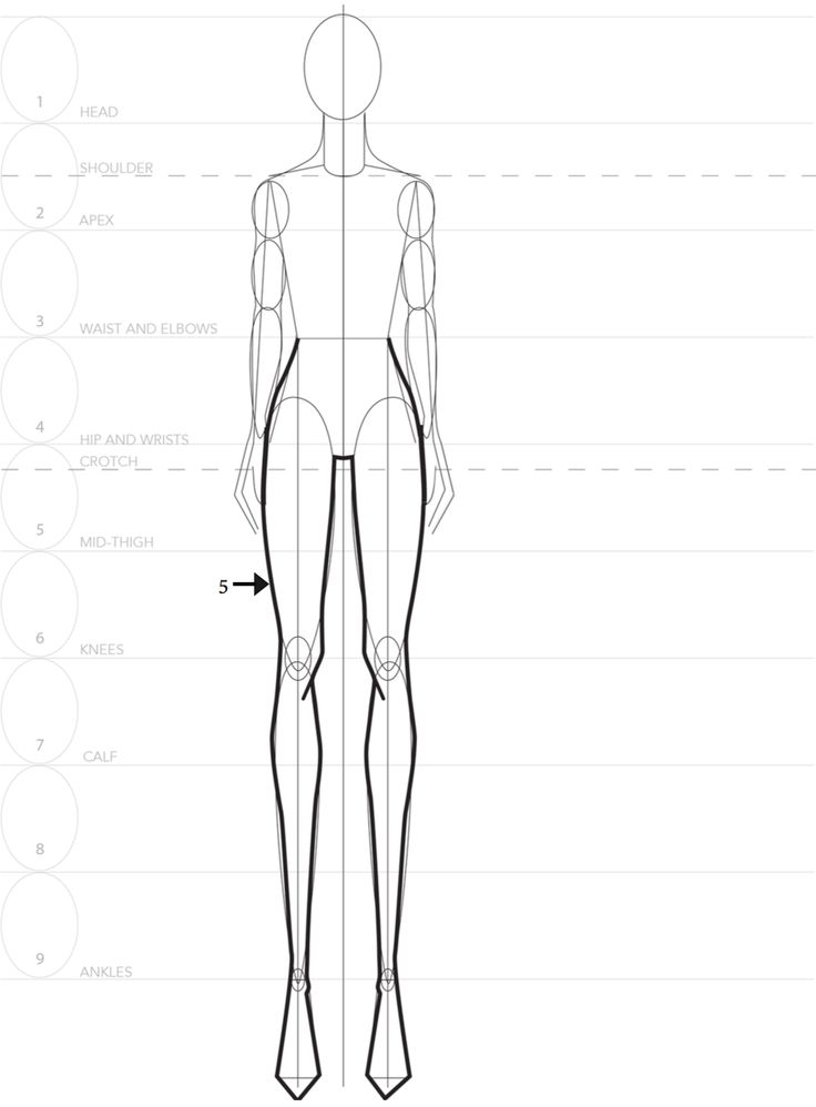 an outline drawing of the torso and upper half of a man's body, with different