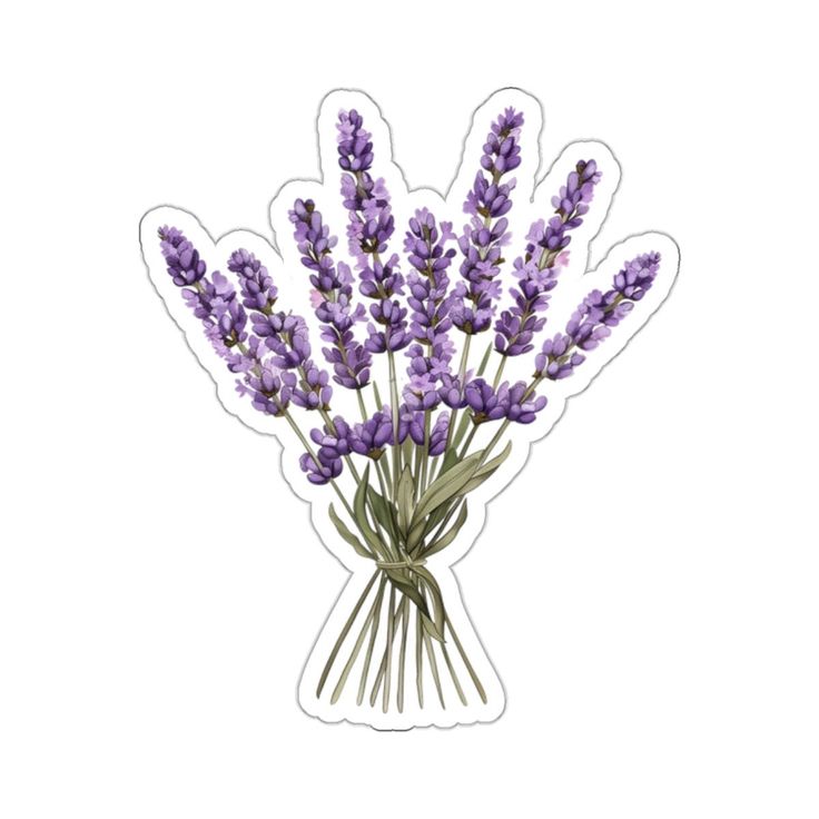 lavender sticker on a white background with purple flowers in the center and green stems sticking out of it