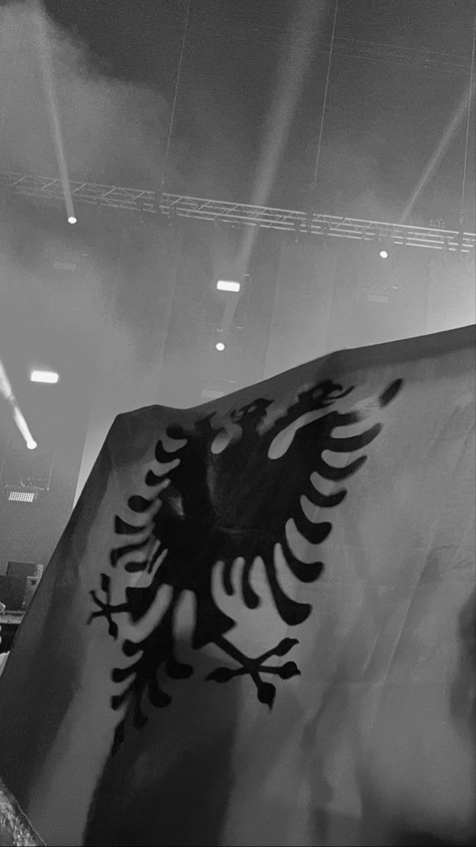 a black and white photo of a flag with a bird on it's side