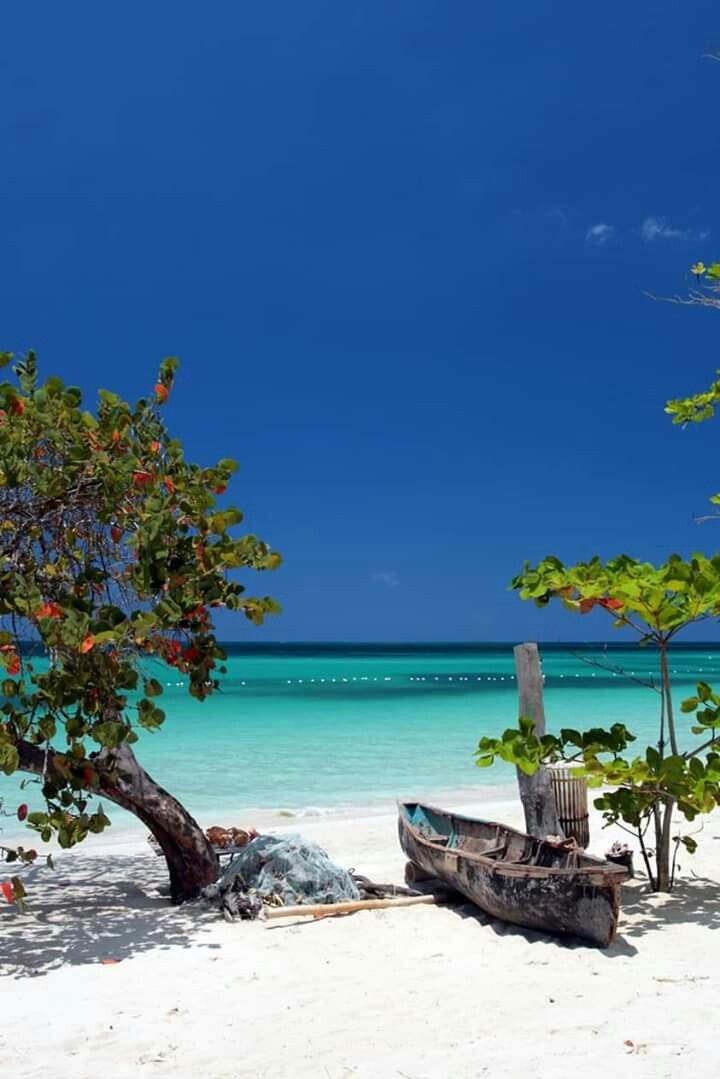 a boat sitting on top of a sandy beach next to trees and the blue ocean