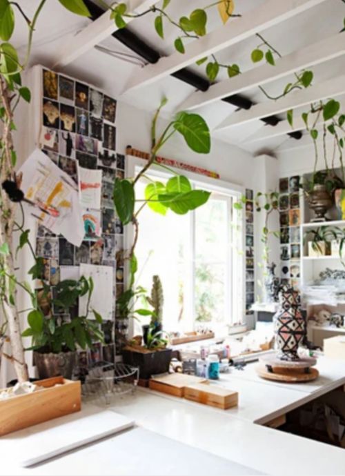 a kitchen filled with lots of plants and pictures on the wall next to a window