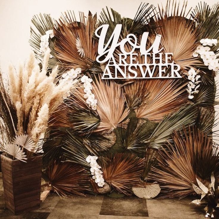 there are two vases with plants in them and the words you are the answer