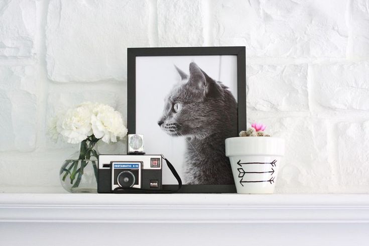 a cat is sitting on top of a mantle next to a flower pot and an old camera