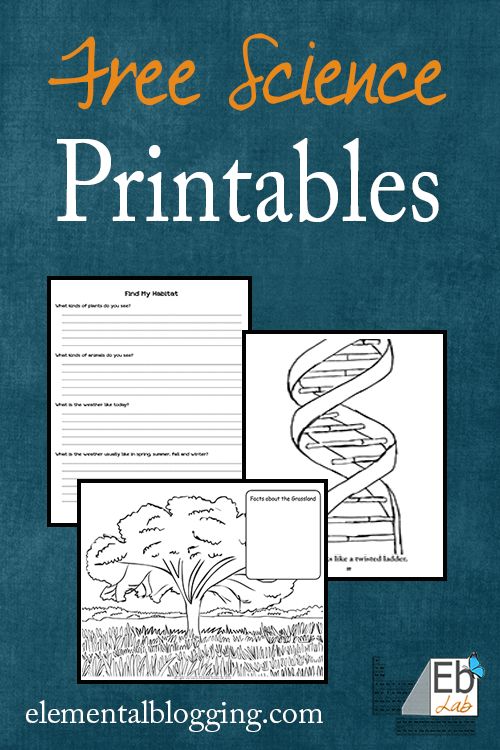 a book cover with the title free science printables