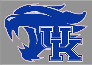 the university of kentucky wildcats logo is shown on a gray background with blue and white letters