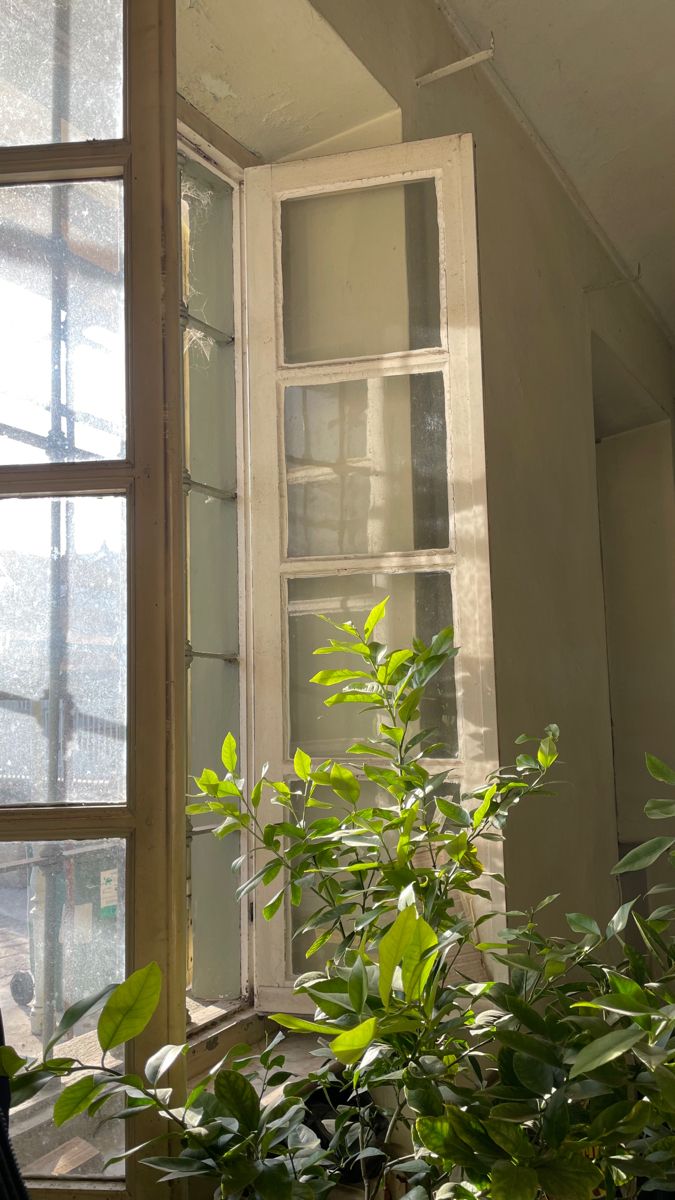 an open window sitting next to a potted plant