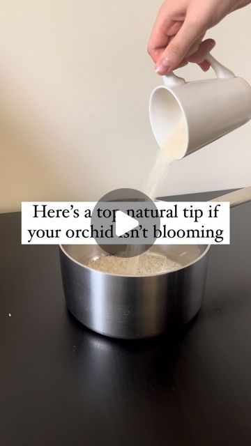 a person pouring something into a cup on top of a black table with the words here's a top natural tip if your orchid art blooming