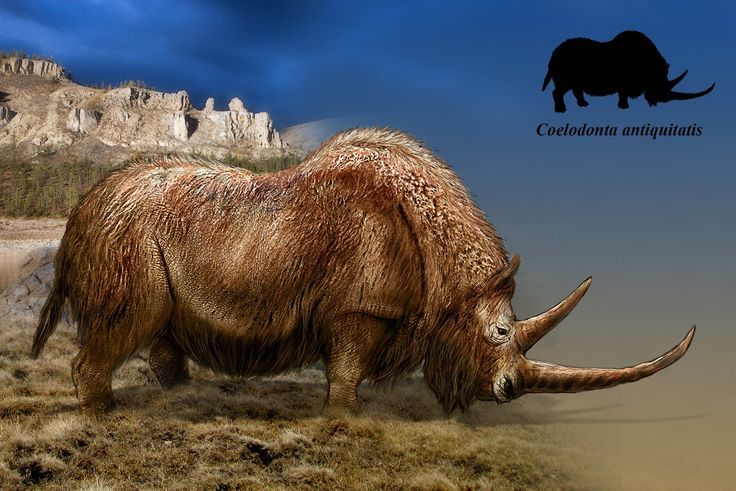 an artist's rendering of a wooly animal with long tusks and horns