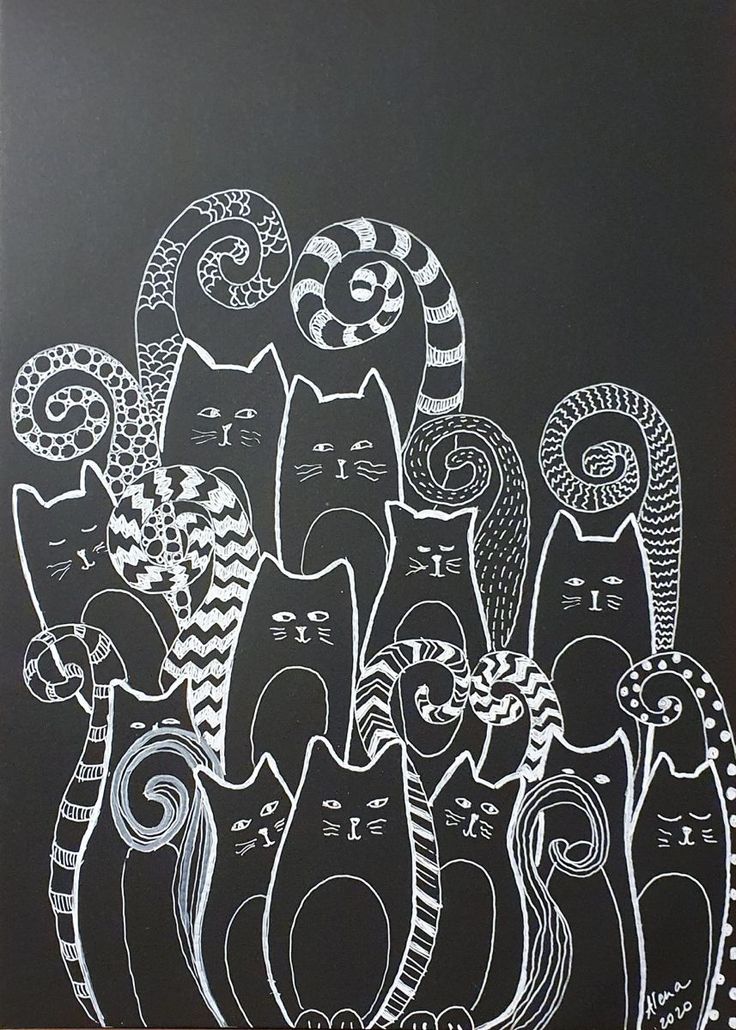 black and white drawing of cats on a chalkboard