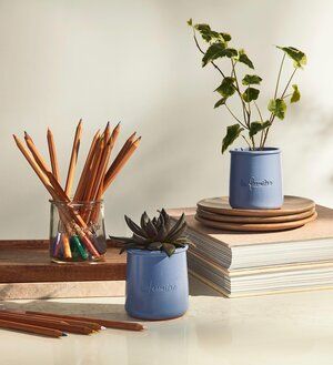 there are two vases with plants in them on the table next to books and pencils