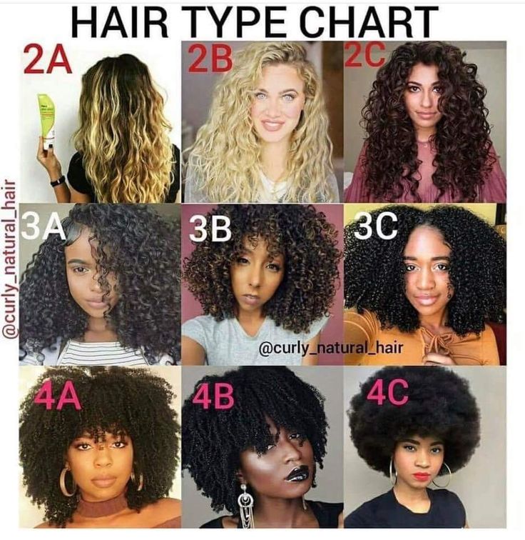 Types Of Curly Hair, Hair Type Chart, Hair Chart, Cabello Afro Natural, Protective Hair, Curly Hair Types, Hair Sketch, Curly Girl Method, 4c Hair