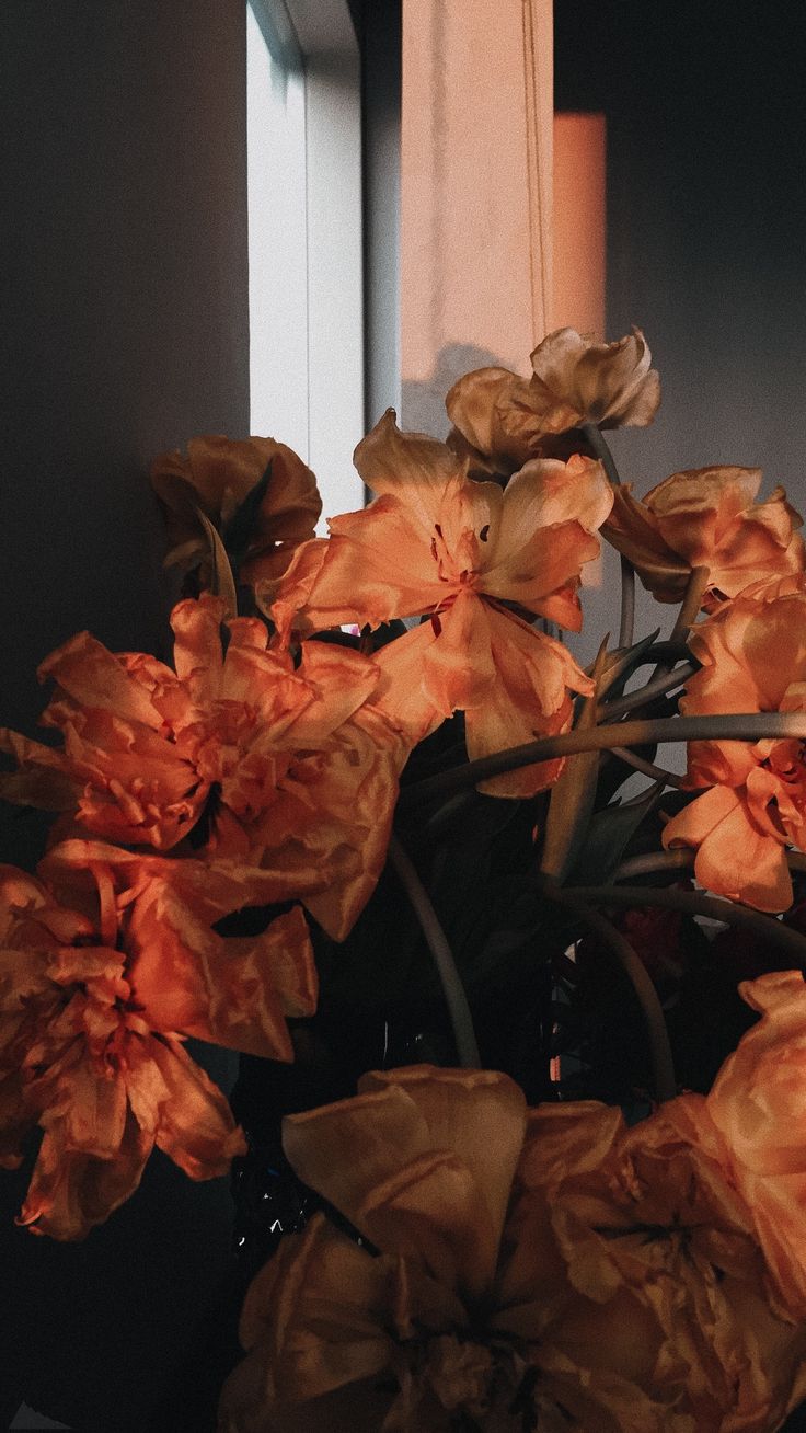 a vase filled with orange flowers next to a window