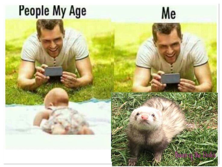 a man laying in the grass next to a ferret and another photo with him