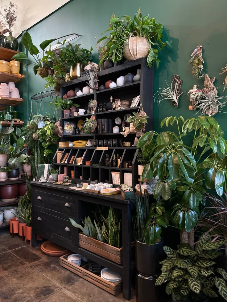 a room filled with lots of potted plants and pots on top of wooden shelves