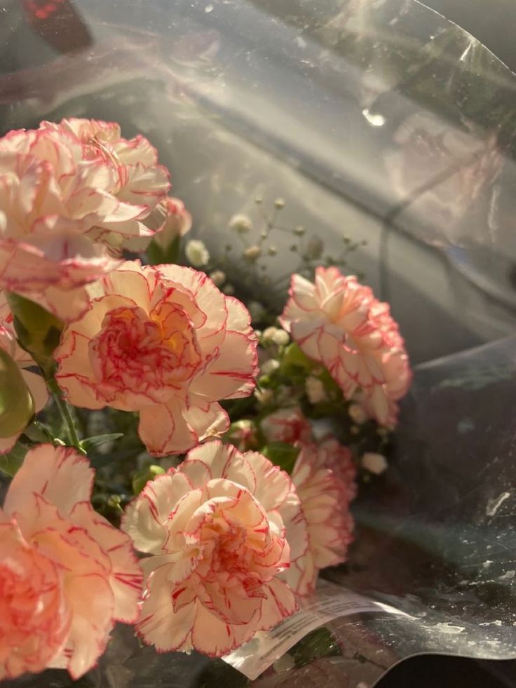 pink and white flowers are in a clear plastic container with water droplets on the surface