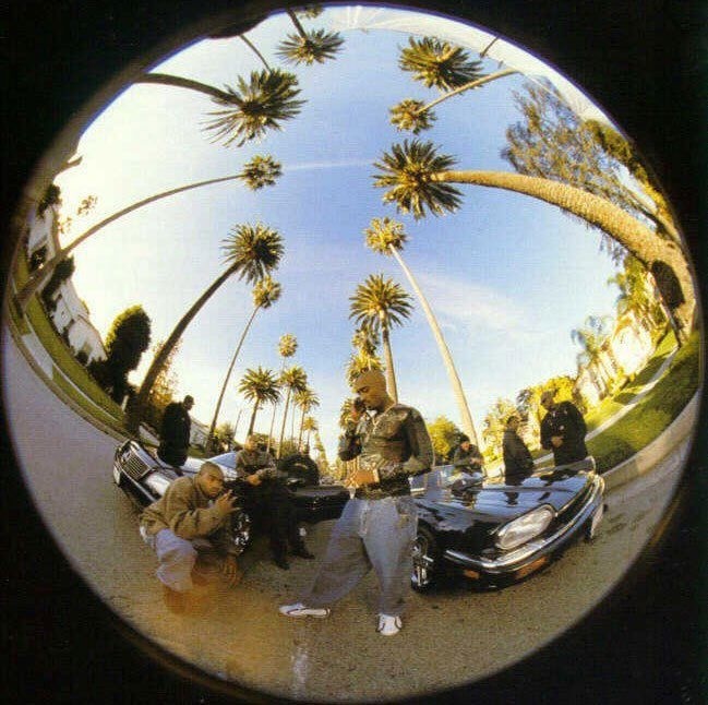 a group of people standing next to each other on top of a parking lot near palm trees