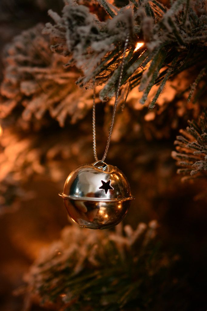 an ornament hanging from a christmas tree