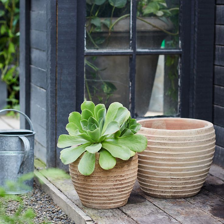 three clay pots with plants in them sitting on the ground next to a window sill