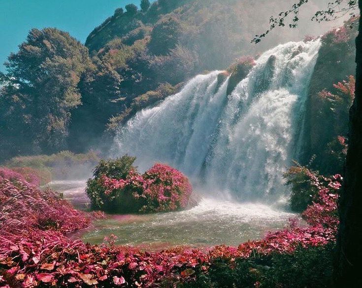 a large waterfall with pink flowers in the foreground