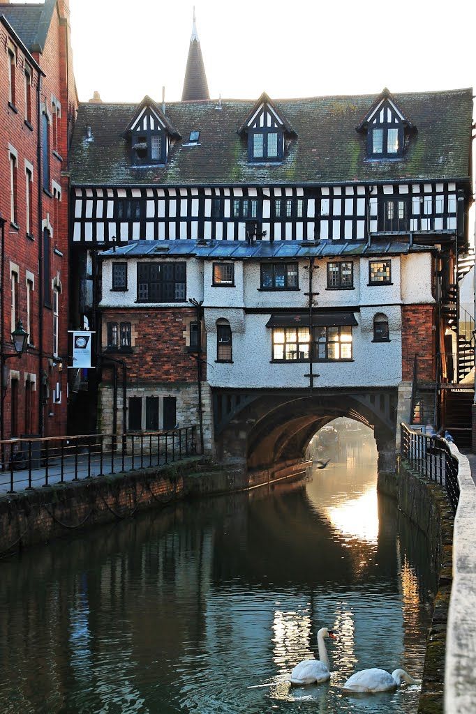 swans swimming in the water next to buildings and a bridge with arched windows on either side