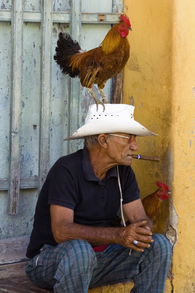 It's easy to make all types of friends in Cuba! #cubans #cubanculture Jamie Johnson, Photographie Portrait Inspiration, Human Reference, 수채화 그림, Havana Cuba, Human Poses Reference, Human Poses, Human Race, Body Reference