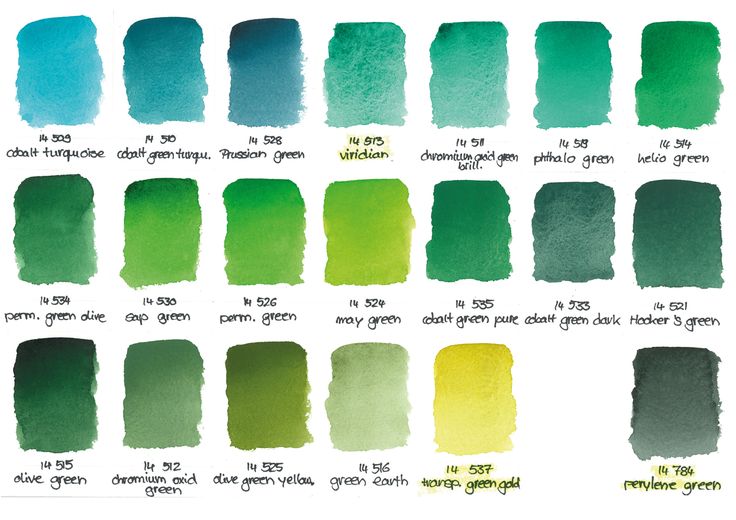 the different shades of green paint