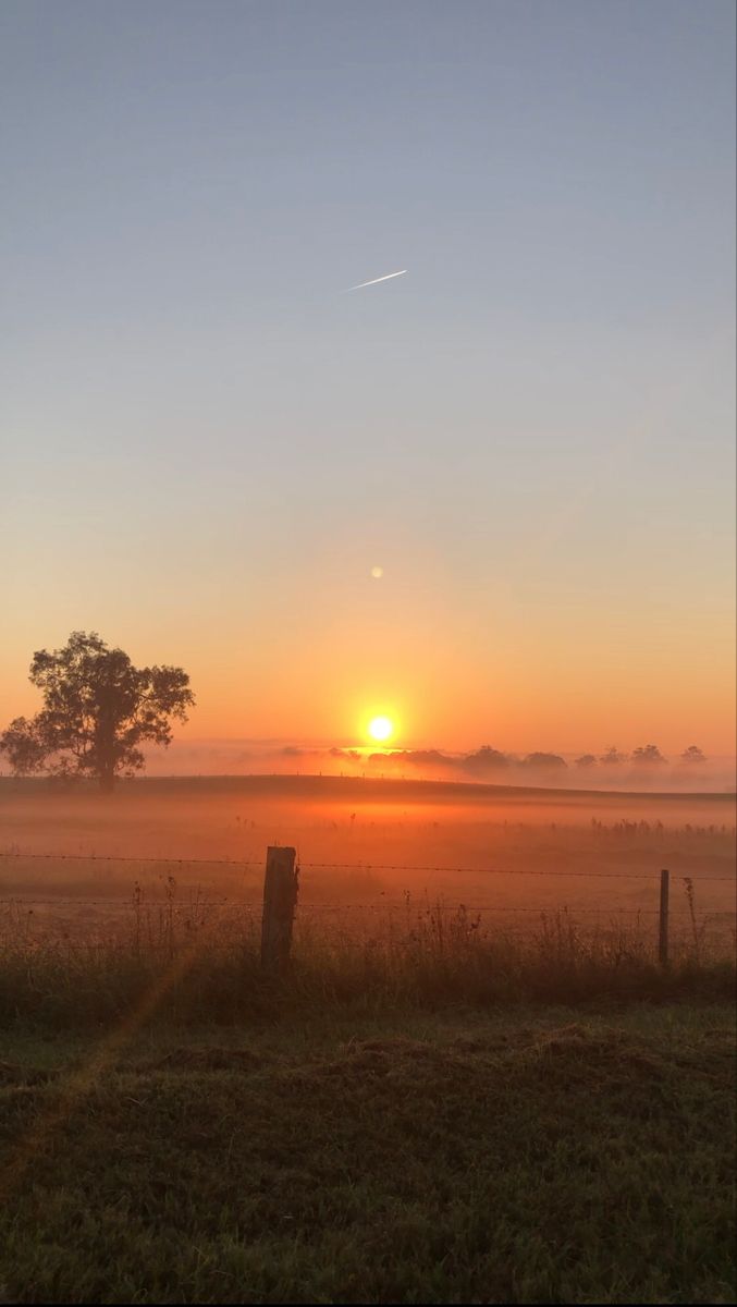 Sunrise sun beautiful early morning aesthetic nature meadow foggy Sunset Meadow Aesthetic, Early Sunrise Aesthetic, Sierra Core Aesthetic, Beautiful Sunrise Mornings, Sundown Aesthetic, Morning Aesthetic Sunrise, Aesthetic Meadow, Midwest Sunset, Sunrise Countryside