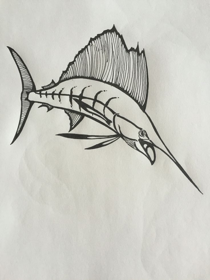 a drawing of a fish on paper