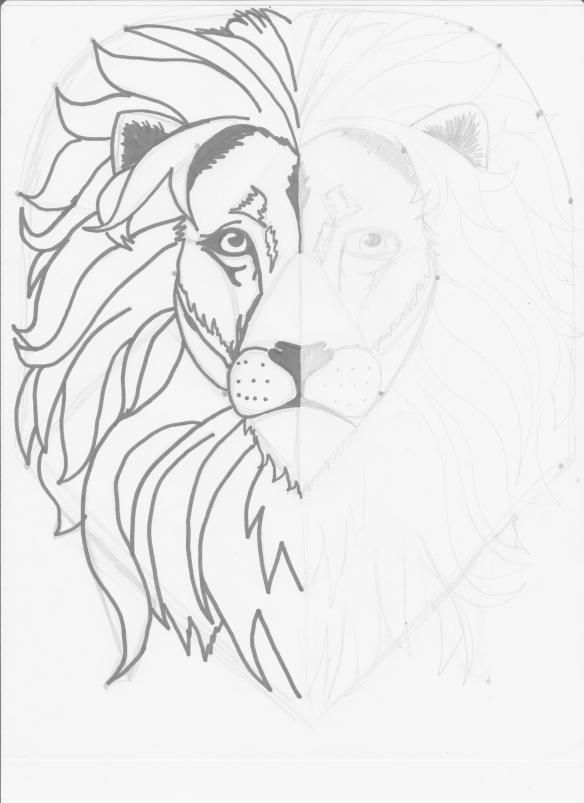 a drawing of a lion's head with the face of a lion on it