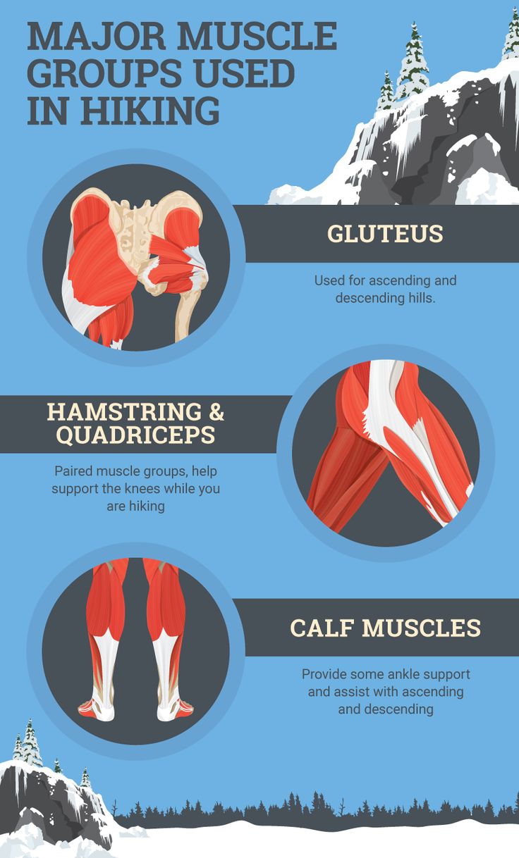 an info sheet describing the muscles and their functions in skiing, snowboarding, hiking