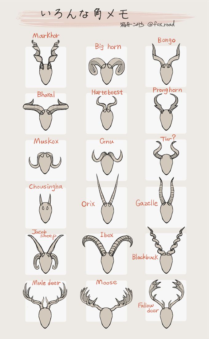 the different types of antelope's heads and their names in chinese characters