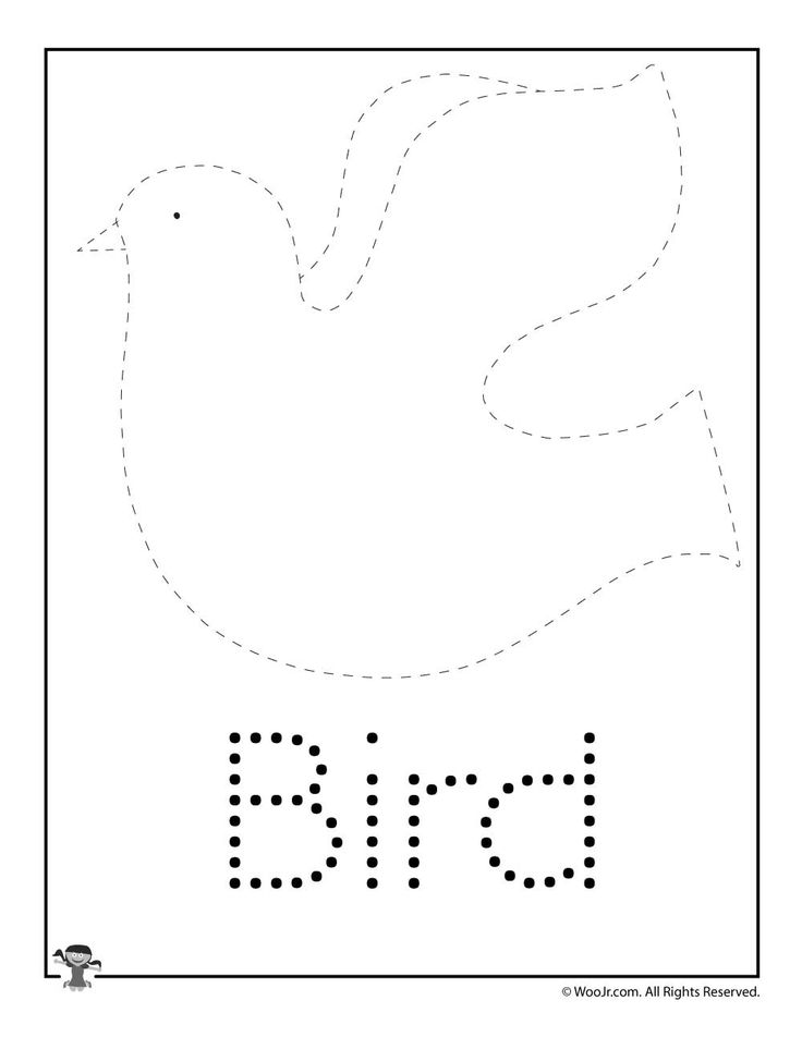 the letter b is for bird with dotted lines and dots to make it look like an animal