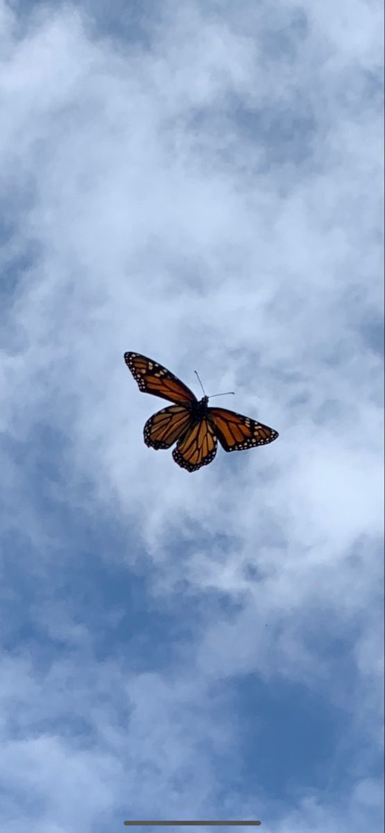 a butterfly flying in the sky with clouds