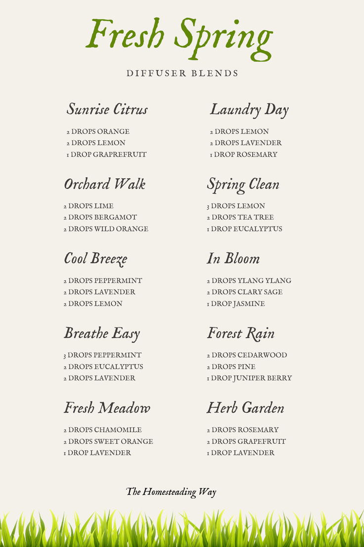 10 Spring Diffuser Blends Spring Blends Diffuser Recipes, Refreshing Diffuser Blends, Fresh Essential Oil Diffuser Blends, Clean Smelling Diffuser Blends, Vetiver Diffuser Blends, Fresh Diffuser Blends, Spring Essential Oil Blends, Blends Chart, Young Living Diffuser Recipes