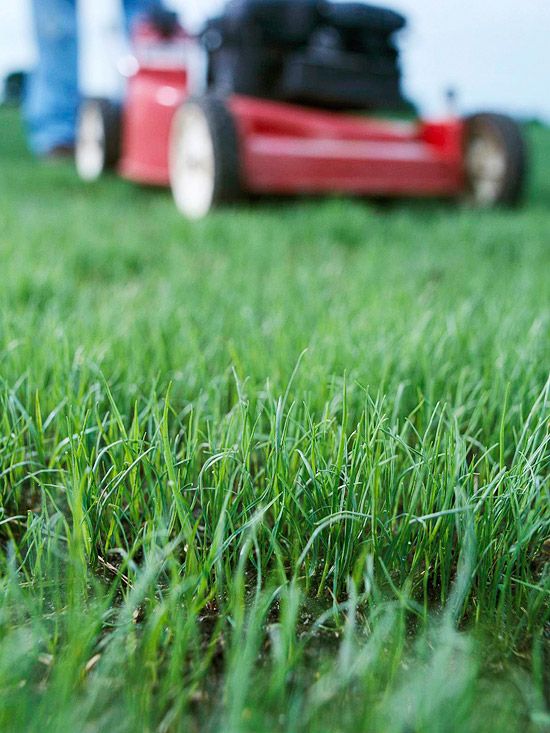 a red lawn mower sitting on top of a lush green grass covered field with people in the background