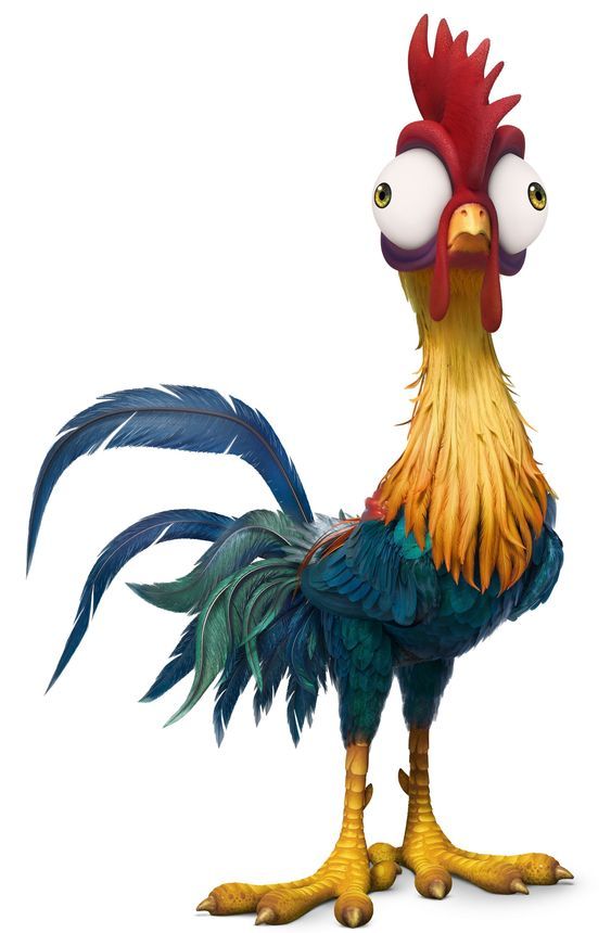 a colorful rooster standing on one leg and looking at the camera with two large eyes