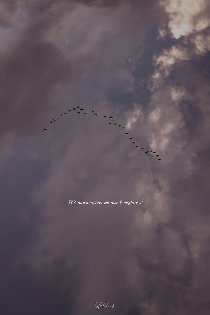 a flock of birds flying in the sky with a message written on it's side