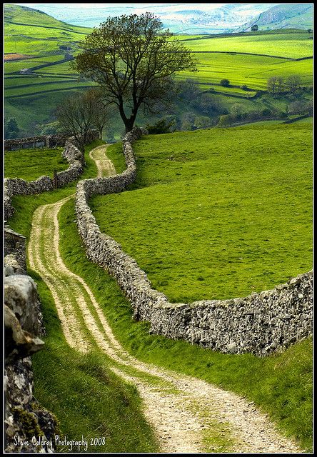 a dirt road going through a lush green field next to a stone wall and tree