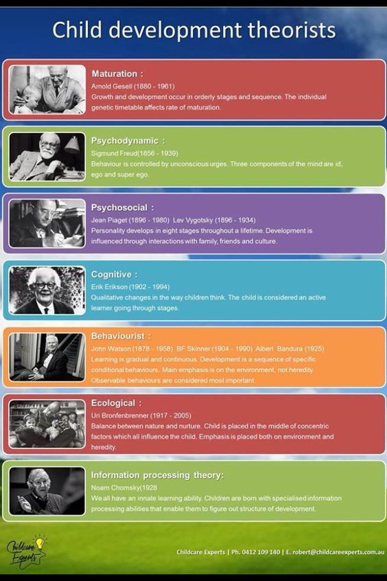 the child development theory chart is shown